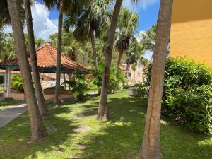 un gruppo di palme davanti a un edificio di Cocon Tropical a Sainte-Anne