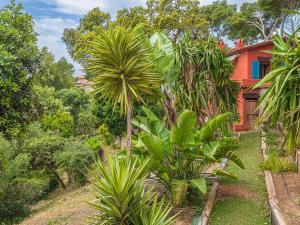 une maison au milieu d'un jardin arboré dans l'établissement Villa Pénélope by Interhome, à Hyères