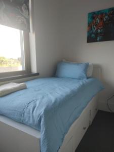 Country Cottage, Stunning Views في ترالي: سرير لحاف ازرق ونافذة