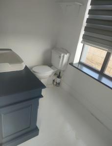 Country Cottage, Stunning Views في ترالي: حمام ابيض مع مرحاض ونافذة +19 صورة