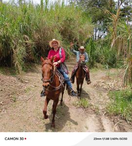 two people riding horses down a dirt road at Cabañas la Miranda in Filandia