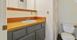 a bathroom with a sink and a toilet at Zoo Town House with Sauna in Missoula +62 photos