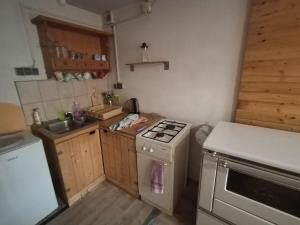 a small kitchen with a stove and a sink at Shambhala, eko selo Blatuša in Gvozd