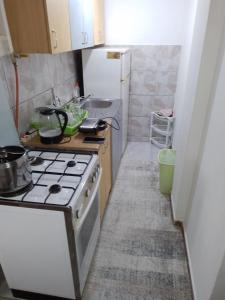 a small kitchen with a stove and a sink at Edinhome in Sarajevo