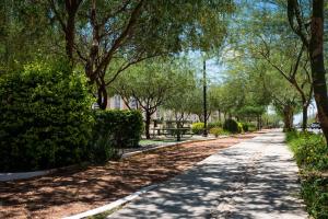 a tree lined path in a park with trees at Departamento Palo Verde in Hermosillo