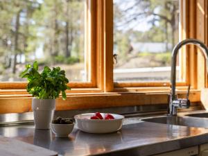 a kitchen counter with a sink and a window at Holiday Home Hölick Tallen 2 by Interhome in Hudiksvall +33 photos
