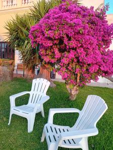 two white chairs and a tree with pink flowers at villa amodeo in Paceco +62 photos