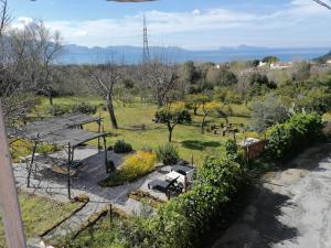 a view of a garden from a house at Casa Sole Luna in Torre del Greco