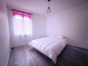 ein weißes Schlafzimmer mit einem Bett und einem Fenster in der Unterkunft Appartement Cosy Auxerre centre ville Arrivée autonome in Auxerre