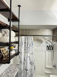 e bagno con doccia e tenda doccia. di Whole House with Lake and Lift Bridge Overlook for 10 Guests a Duluth