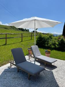 Příroda nedaleko apartmánu
