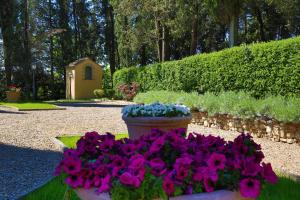 a pot of flowers sitting in a garden at Hotel La Collegiata - Adults Only in San Gimignano
