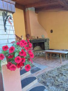 Fotografie z fotogalerie ubytování Chata Mária v destinaci Bojná