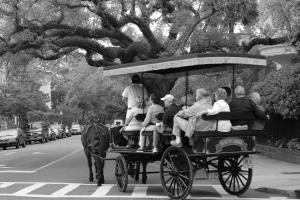 a group of people riding on a horse drawn carriage at Lazy Lagoon in Kiawah Island