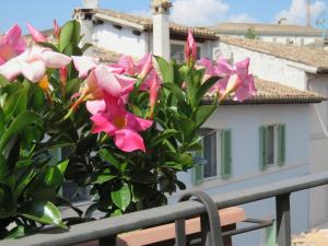 a bush with pink flowers on a balcony at La Casa del Borgo Antico in Spoleto