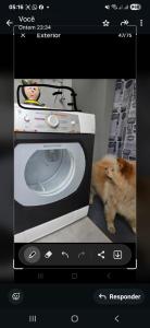 ein Bild einer Katze, die neben einem Fernseher sitzt in der Unterkunft Studio Luxo decorado total Ar condicionado in São Paulo