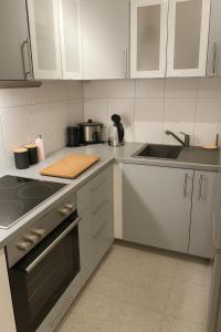 ボンにあるStilvolles Apartment mit zwei Bädern Terrasse und Parkplatz nahe Rhein und Bonn Zentrumの白いキャビネットとシンクのあるキッチン