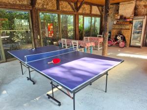 a ping pong table with a red ball on it at Tahtavilla Pansiyon in Cıralı