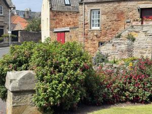 Zahrada ubytování Crab Shack, Crail