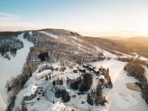 una vista aérea de un bosque nevado y un río en Neve Pool & beach in the heart of Mont-Blanc, en Saint-Faustin