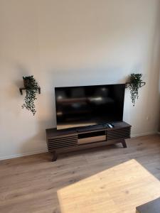 Modernes Apartment, Zentral Essen, Top Ausstattung في إيسن: وجود شاشة تلفزيون مسطحة في غرفة المعيشة