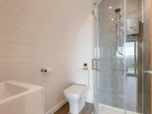 un bagno bianco con wc e doccia di 1 Bed in Corwen 80320 a Gwyddelwern