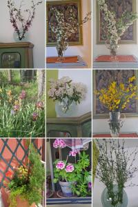 a collage of different pictures of flowers in vases at la casa di Aldo in Perugia