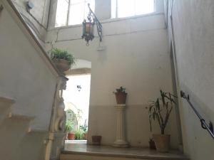 Fotografie z fotogalerie ubytování Bbsantanna2 v Bari