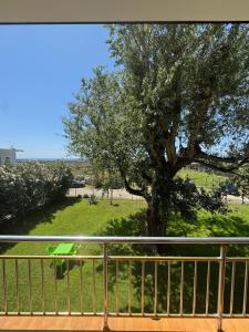 Příroda nedaleko apartmánu + 9 fotografií