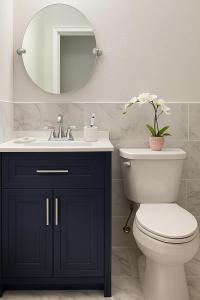 坦帕Green Castle Apartment in Tampa Near Airport and Busch Gardens的带水槽、马桶和镜子的浴室 更多8张照片