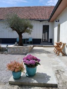 two blue pots of flowers in front of a house at Les Oliviers in Chériennes