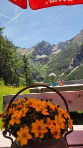 Ein allgemeiner Bergblick oder ein Berglick von der Ferienwohnung aus