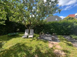 two chairs sitting under a tree in a yard at Gréta Apartman in Ábrahámhegy