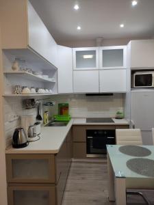 Kuchyň nebo kuchyňský kout v ubytování Mishama apartments