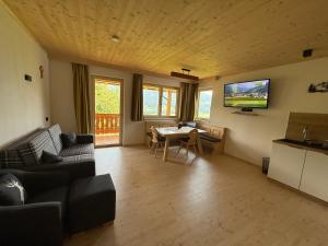 TV a/nebo společenská místnost v ubytování Naturchalet Forster