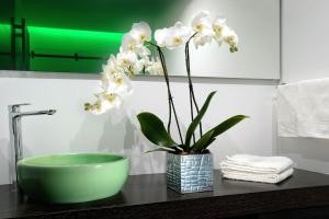 パルマノーヴァにあるアーバン トレンド ゲストハウスのバスルームのカウンターに並ぶ緑の鉢と白い花