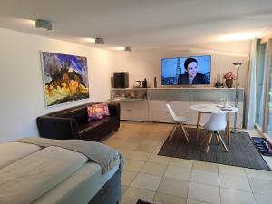 TV a/nebo společenská místnost v ubytování INN-Studio Ursula