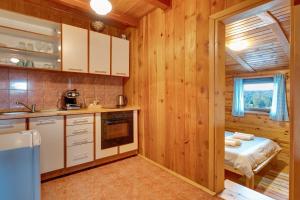 Kuchyň nebo kuchyňský kout v ubytování Apartment Iko
