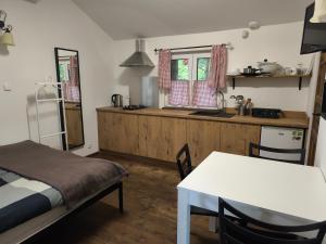 a room with a kitchen and a table and a bed at Osada pod Czerwonym Dębem - Czarny Młyn in Jastrzębia Góra