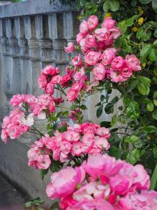 Gallery image of Villa Behar in Ivišovo Greblje