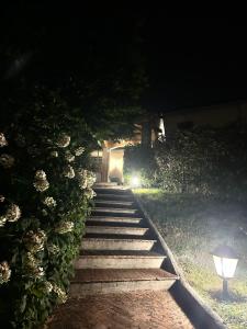 Zahrada ubytování Buen Retiro