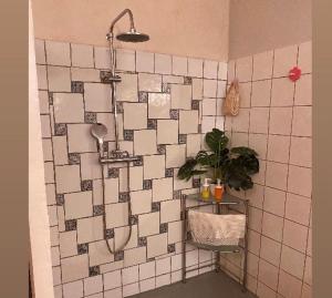Kúpeľňa v ubytovaní Les Lauriers Duplex centre ville avec jardin