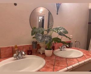 Kúpeľňa v ubytovaní Les Lauriers Duplex centre ville avec jardin