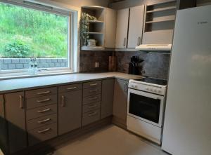 Η κουζίνα ή μικρή κουζίνα στο Nesvika 5 bedroom holiday home, only 25 min from Bergen