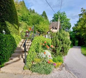 Zahrada ubytování Oaza Narave + 24 fotografií