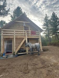 a horse standing in front of a house at Aleos cabin in Kolgecaj