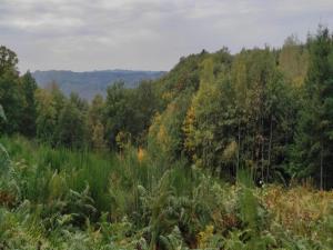 Příroda nedaleko apartmánu