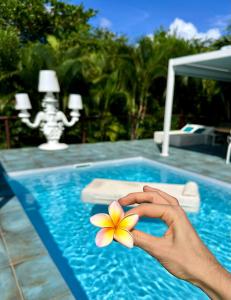 a person holding a flower in a swimming pool at Les Galets Sxm Luxury Lodges in Orient Bay +92 photos