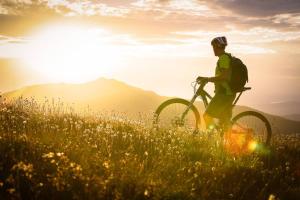 a man riding a bike in a field with the sunset at Tikkandi in Merrijig