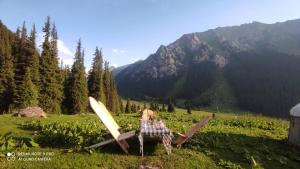 a plane sitting in the grass in a field at Ernis Yurt Camp in Mineralʼnyy Istochnik Altyn-Arasan